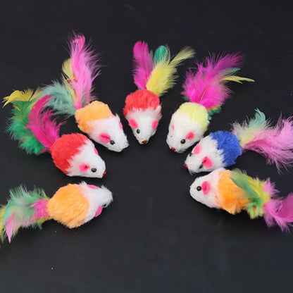 Interactive Cat Toy – Soft Fleece Mouse & Colorful Feather Training Toy for Kittens and Cats