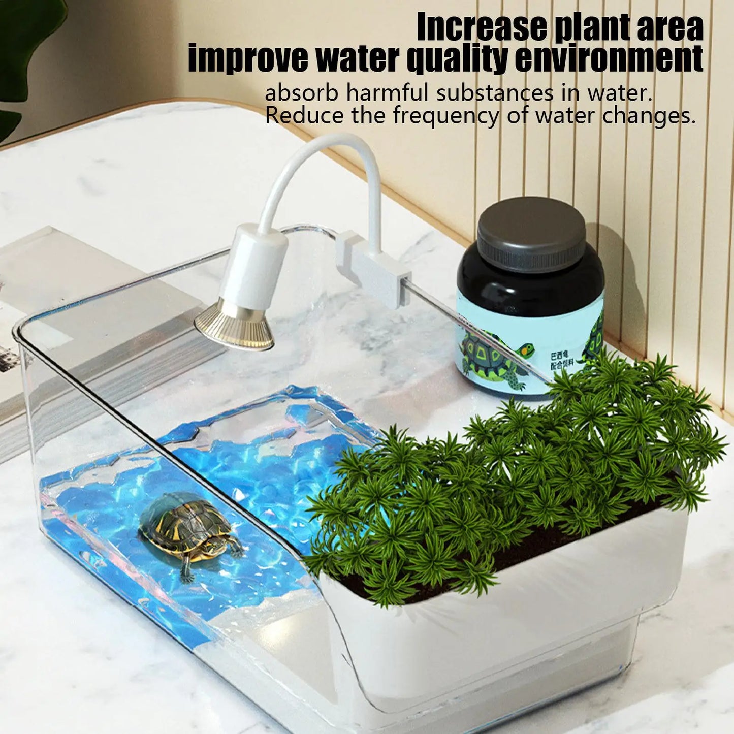 Transparent Turtle Tank Habitat - Reptile Terrarium with Basking Area for Turtles, Tortoises & Hermit Crabs