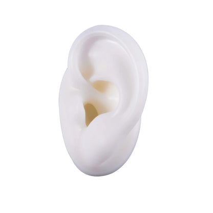Soft Silicone Ear Model Display Stand – Tattoo Practice & Body Piercing Jewelry Holder with Acrylic Earring Display Kit for Training & Showcase