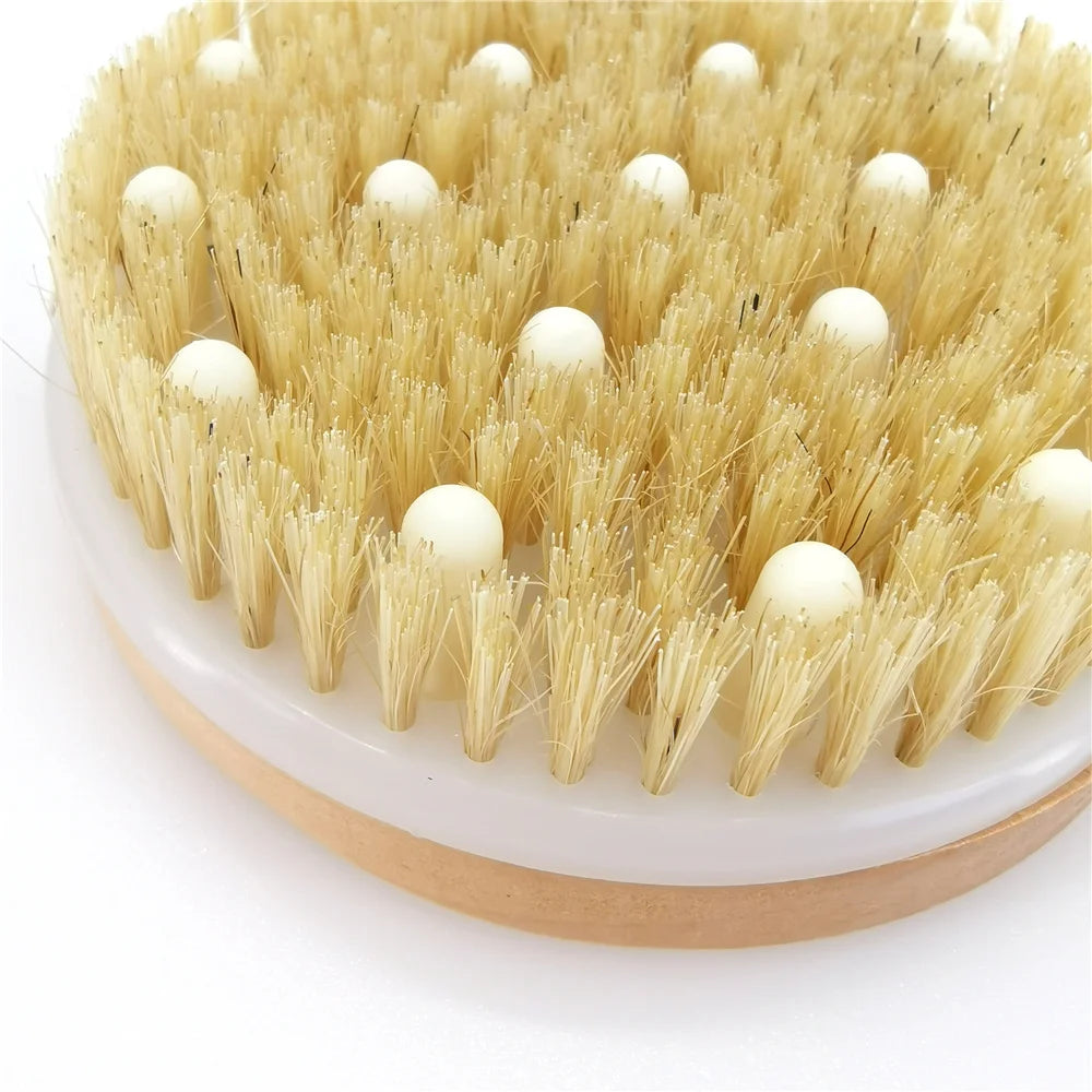 2-in-1 Natural Bristle Body Brush – Dry Skin Exfoliator & Anti-Cellulite Massager for Blood Circulation