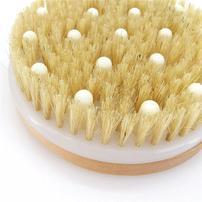 2-in-1 Natural Bristle Body Brush – Dry Skin Exfoliator & Anti-Cellulite Massager for Blood Circulation