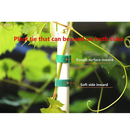 3 Rolls Green Garden Twine Plant Ties - Nylon Plant Bandage with Hook Loop for Bamboo Cane Wrap Support - Garden Accessories
