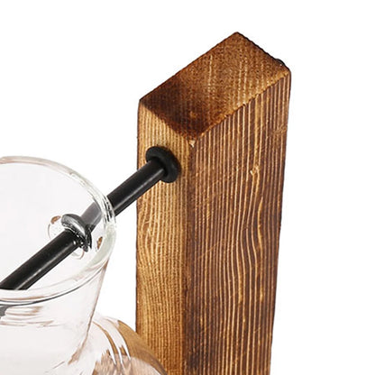 Glass Bulb Planter Vase - Wooden Stand Hydroponic Desktop Decor