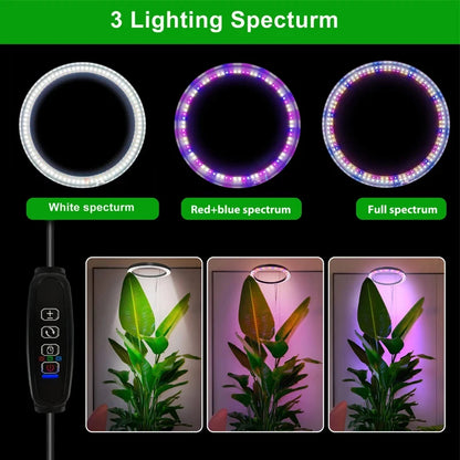 165cm Height Adjustable LED Ring Grow Light – Full Spectrum USB Plant Lamp for Indoor Plants, Large Growing Light