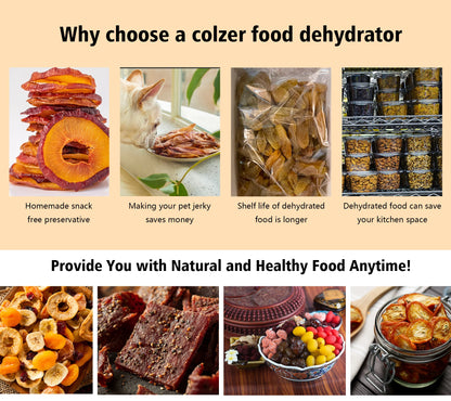 220V/110V Commercial Food Dehydrator – Stainless Steel Fruit & Vegetable Dryer for Snacks