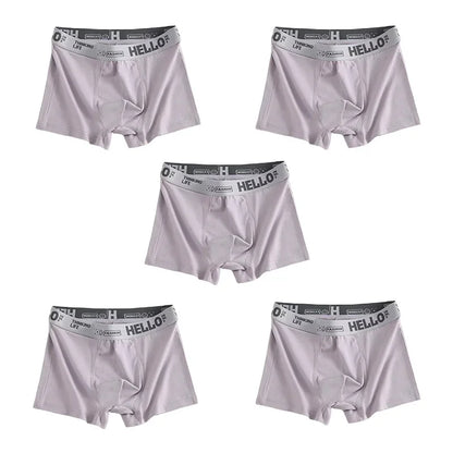 1/5PCS Men's Breathable Underwear – Comfy, Quick-Drying Stretchy Boxer Trunks, Sexy & Trendy Boxer Panties