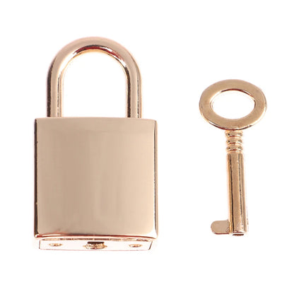 Vintage Heart-Shaped Metal Mini Padlock – Key Lock for Bags, Suitcases, and Luggage Boxes with Key