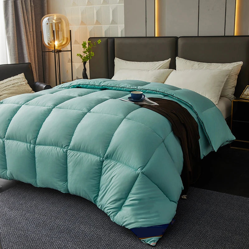 Warm Winter Thick Quilts – Down Filling Comforter for Single, Double & Couple Beds, 150x200cm
