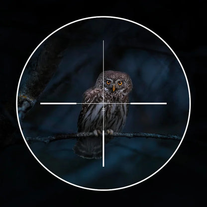 1920×1080 OLED Night Vision Scope - HD Day & Night Monocular with Photo/Video Recording and Up to 300M Observation Range