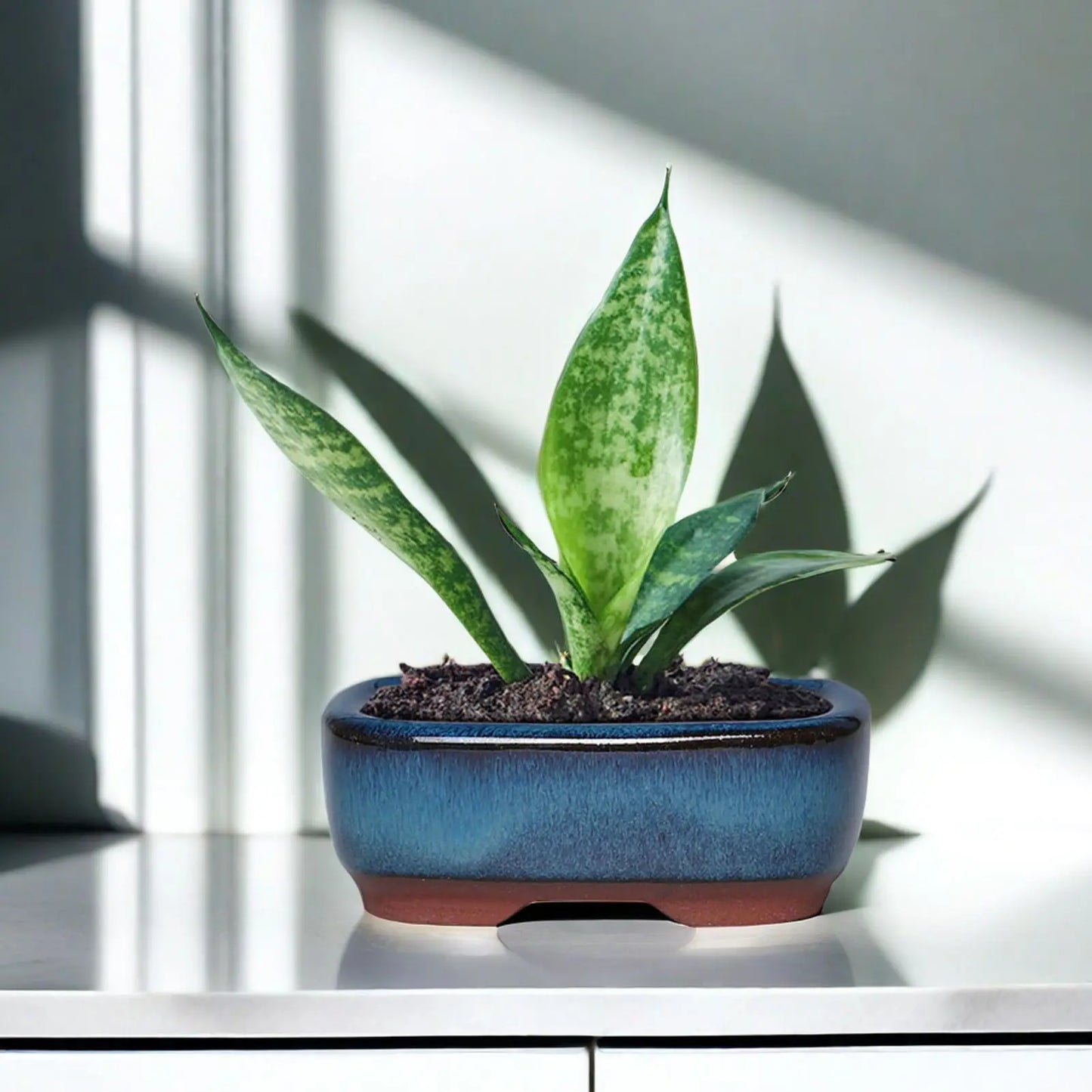 Ceramic Flower Pots with Drain Hole – Vent Design for Easy Indoor and Outdoor Planting