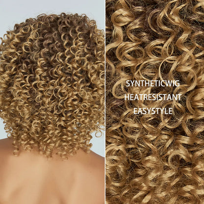 Brown Blonde Curly Synthetic Wig - Short Kinky Curly Afro Wig for Women, Glueless Cosplay Style