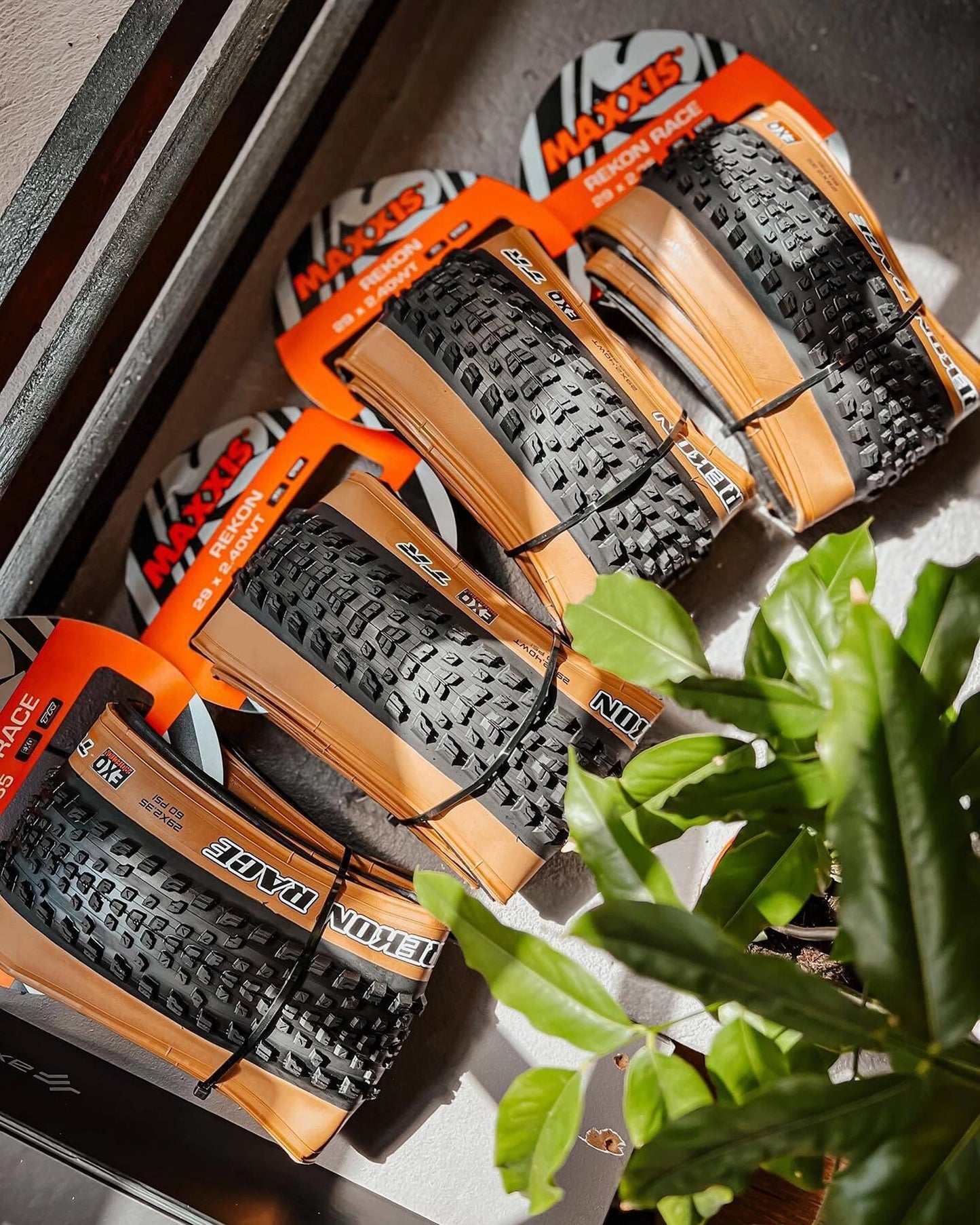 MAXXIS Rekon Race EXO TR Tubeless MTB Bike Tire – 29x2.25/2.35 Foldable Mountain Bicycle Tyre