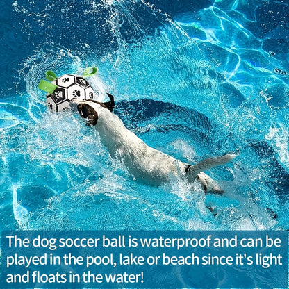 Damaly Interactive Dog Soccer Ball - Durable Water-Resistant Play Ball with Grip Ring for Chasing and Fetch, No Battery Required