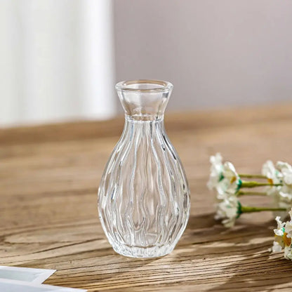 Retro Hydroponic Transparent Glass Vase — INS Style Flower Vase for Desktop, Home, Wedding & Party Decoration