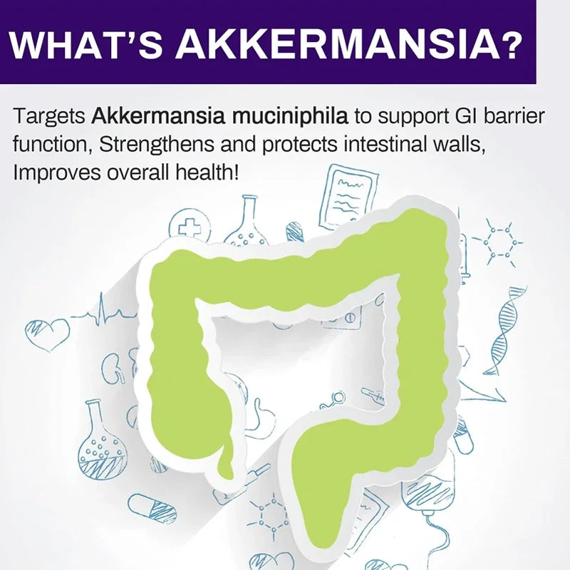 300 Billion AFU Akkermansia Muciniphila Probiotic – Live Digestion Support Supplement