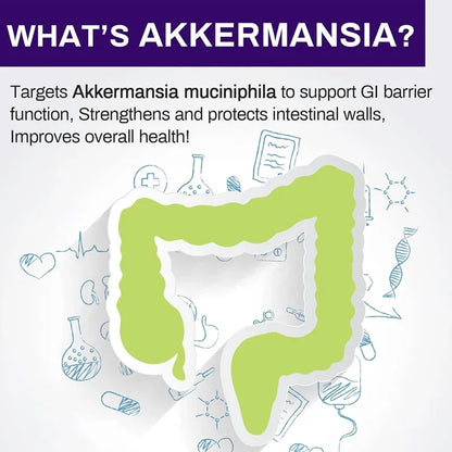 300 Billion AFU Akkermansia Muciniphila Probiotic – Live Digestion Support Supplement