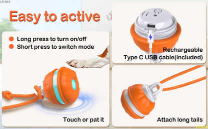 Peppy Pet Ball for Dogs – Motion-Activated Rolling Ball, Interactive Toy for Puppies & Small Dogs, Automatic Moving Dog Toy