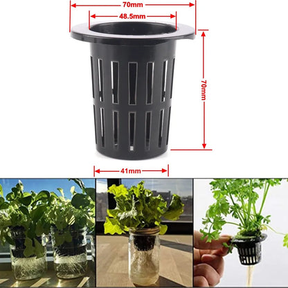 25PCS Hydroponic Mesh Net Pots – Soilless Plant Nursery Cups for Vegetable & Garden Growing
