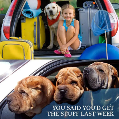 Keep Your Pet Safe: Adjustable Pet Dog Cat Car Seat Belt Harness - Perfect for Small to Medium Dogs, Travel Pet Supplies