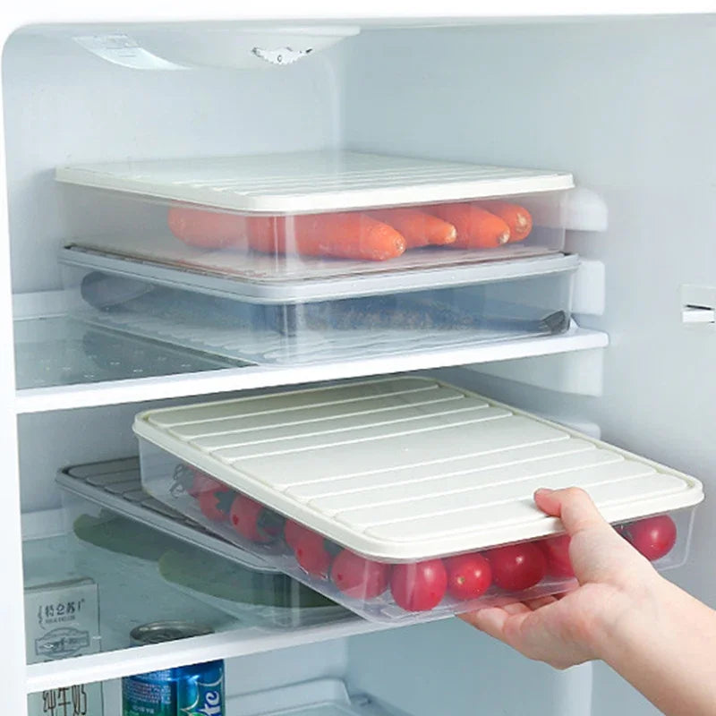 Freezer Dumpling Storage Box — Stackable Square Plastic Food Saver with Lid, Single-Layer Sealed Transparent Container