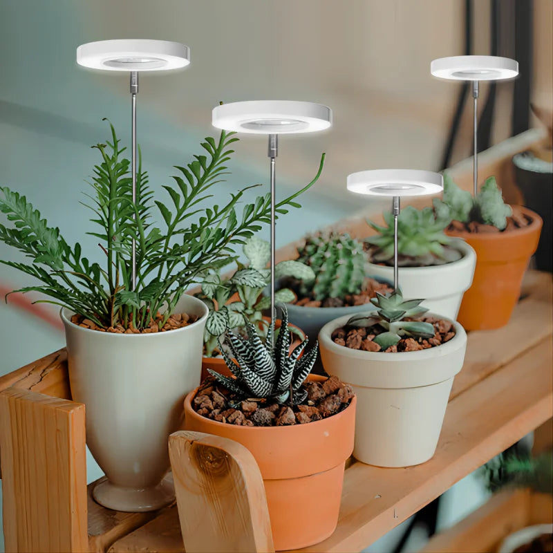 LED Indoor Angel Ring Plant Growth Light - USB 5V with On/Off Timer - Retractable Height Full Spectrum Simulated Sunlight