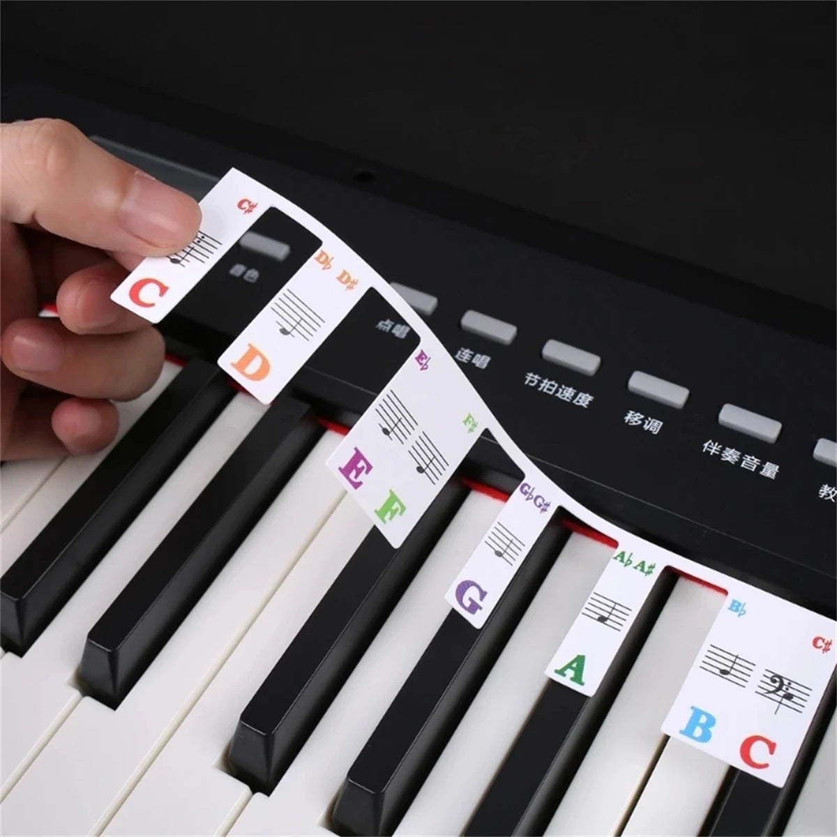 Piano Keyboard Stickers - Removable Silicone Note Labels for 88/61 Key Beginner Piano Learning