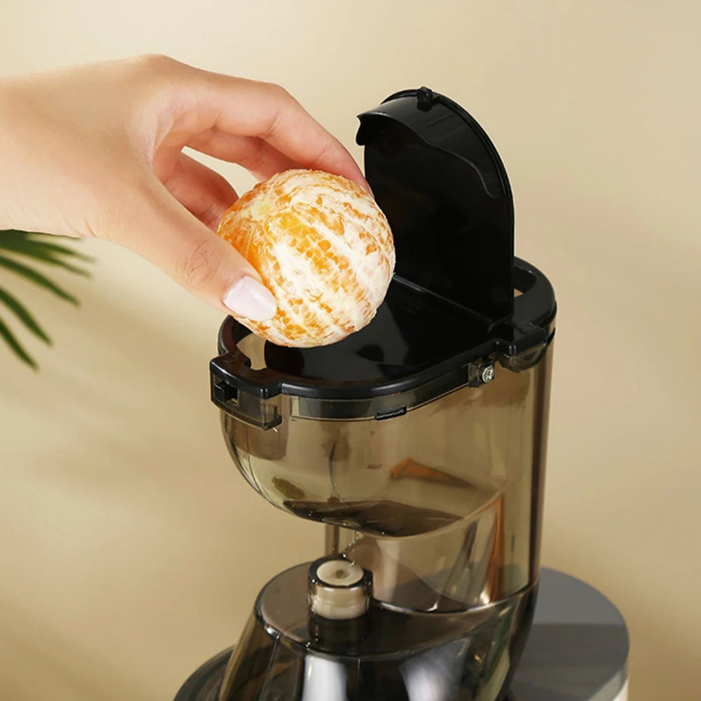 Houselin 7" Cold Press Juicer — Masticating Juicer Machine for Fruits & Vegetables