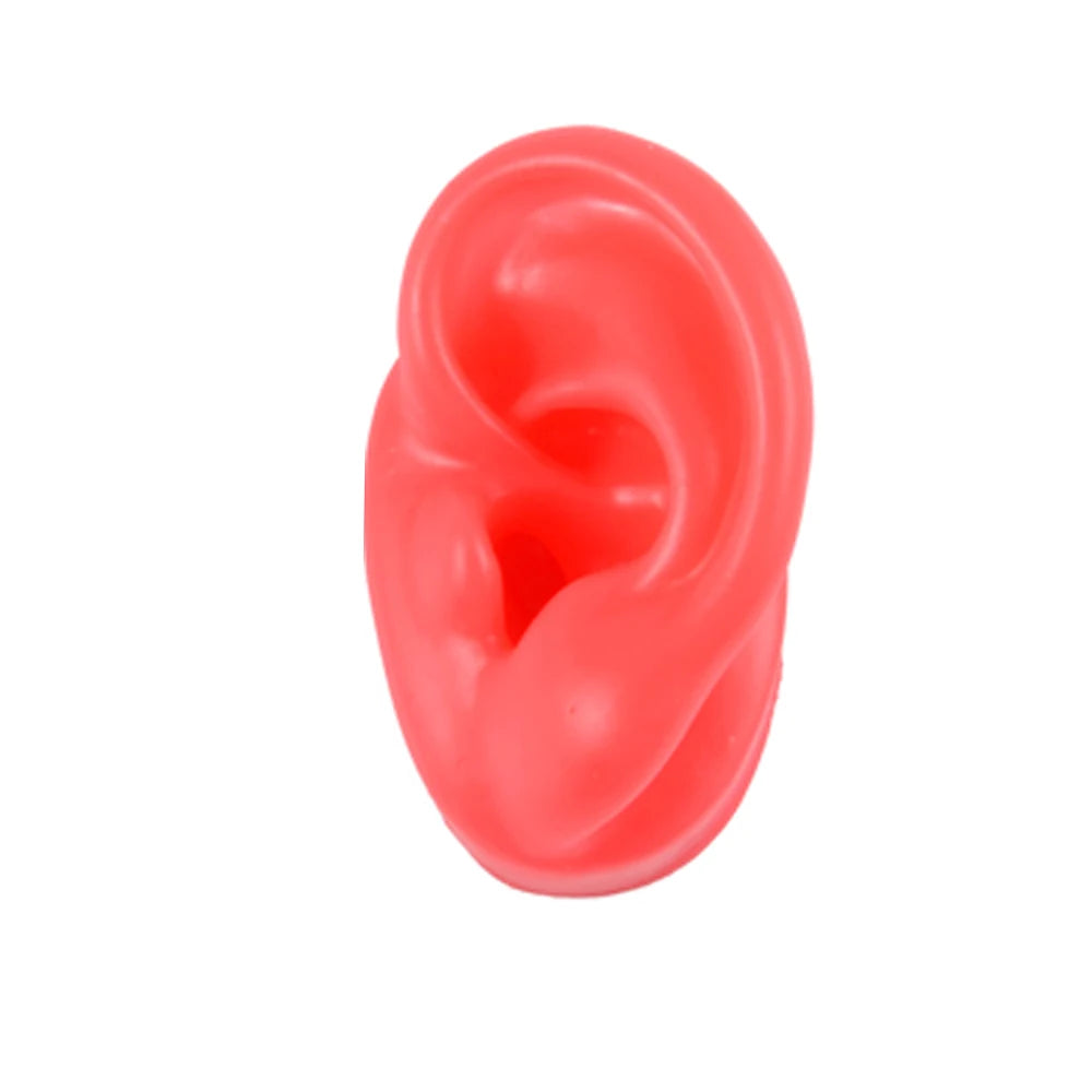 Soft Silicone Ear Model Display Stand – Tattoo Practice & Body Piercing Jewelry Holder with Acrylic Earring Display Kit for Training & Showcase