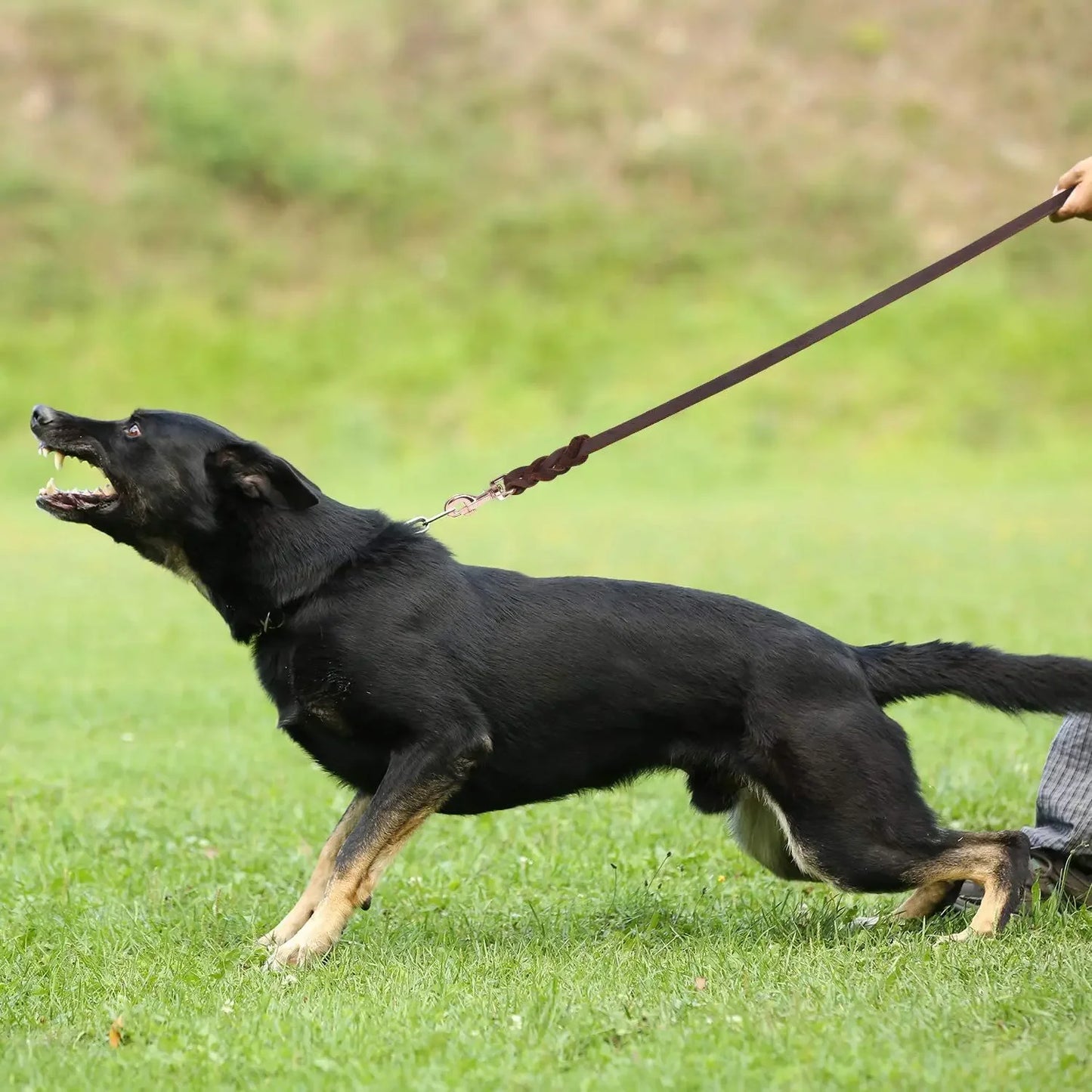 Genuine Leather Dog Leash – Braided Walking & Training Lead for Medium & Large Dogs, Brown & Black