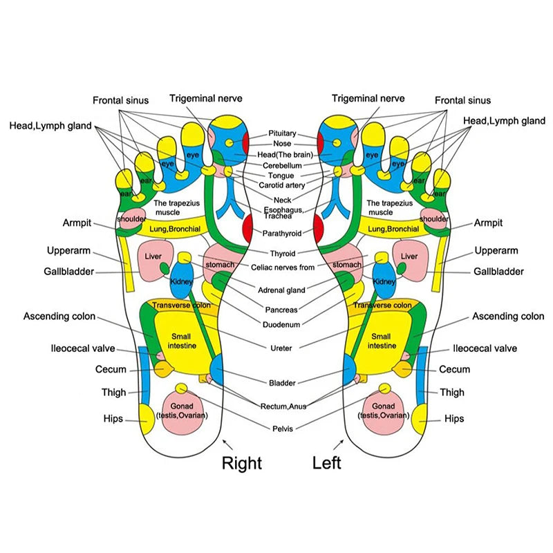 Foot Massage Slippers — Reflexology TENS & EMS Acupuncture Therapy for Feet Relaxation and Body Massage