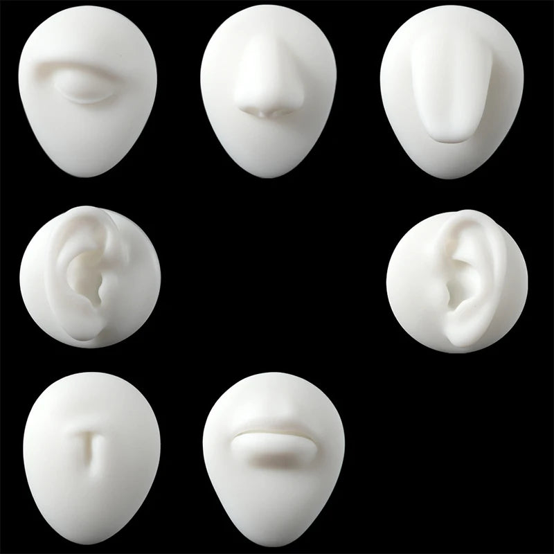Soft Silicone 1:1 Simulation Body Piercing Practice Model – Ear, Nose, Navel & Nipple Display Stand for Jewelry Training & Teaching Accessories