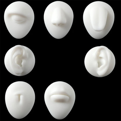 Soft Silicone 1:1 Simulation Body Piercing Practice Model – Ear, Nose, Navel & Nipple Display Stand for Jewelry Training & Teaching Accessories
