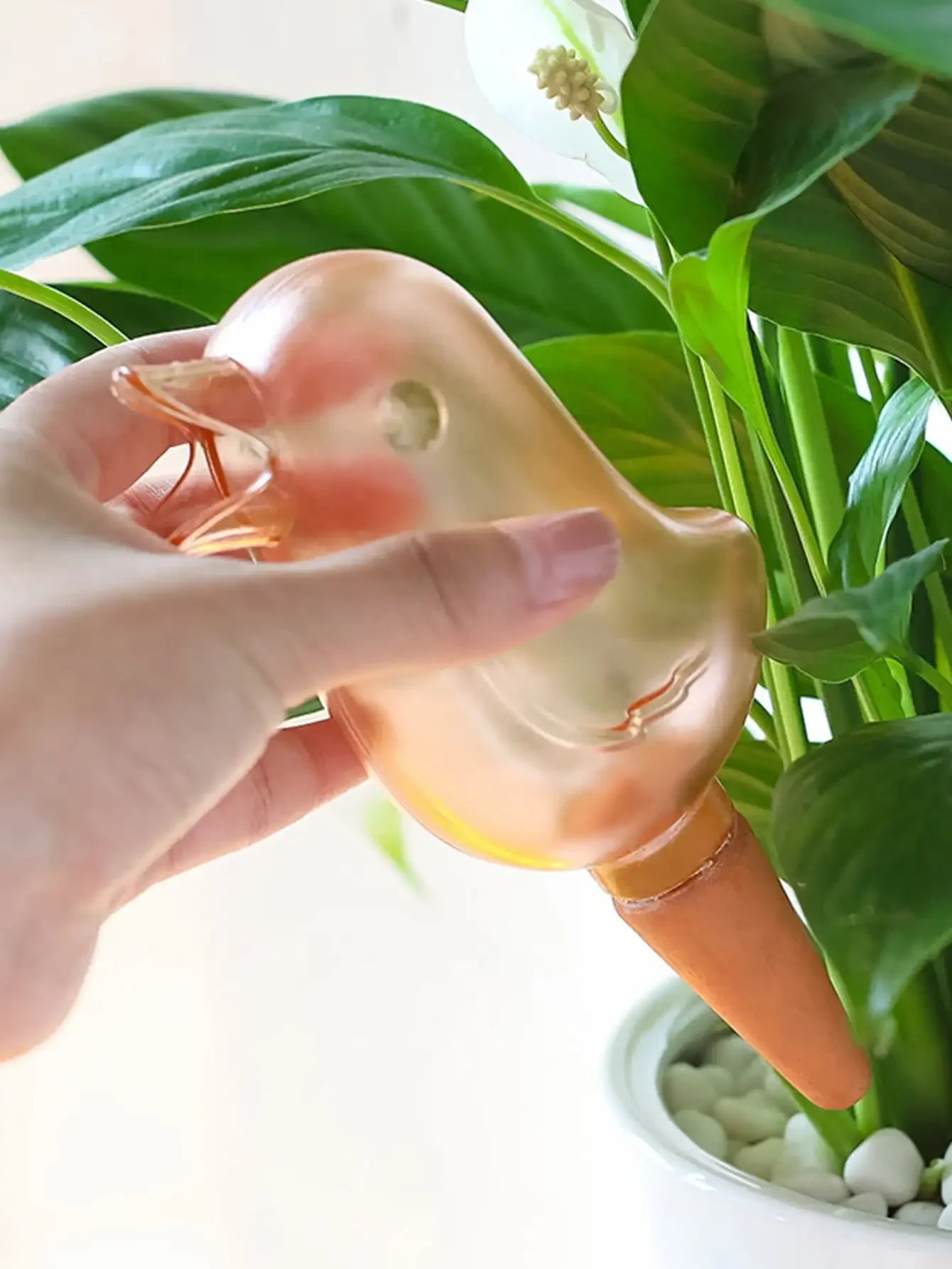 Automatic Flower Waterer – Self-Watering Bird-Shaped Hand-Blown Plastic Plant Watering Balloon for Home & Garden