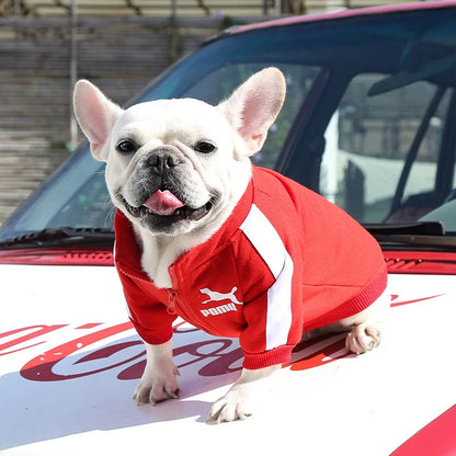 Baseball-Themed Dog Jacket - Warm Winter Vest for Small to Medium Dogs, Perfect for French Bulldogs, Chihuahuas, and Pugs