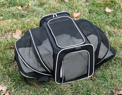 Foldable Pet Carrier Bag – Breathable Mesh Travel Bag for Small Dogs & Cats with Expandable Design