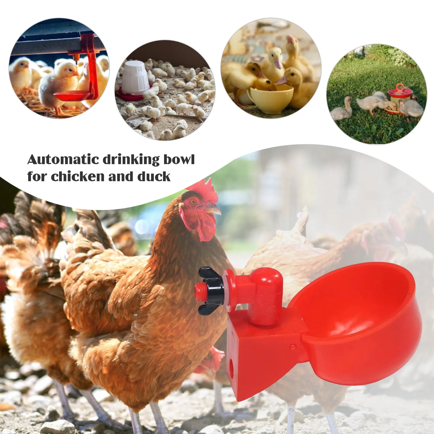 6-36Pcs Automatic Chicken Duck Drinking Cups - Plastic Poultry Farm Water Feeders for Easy Installation and Hassle-Free Drinking