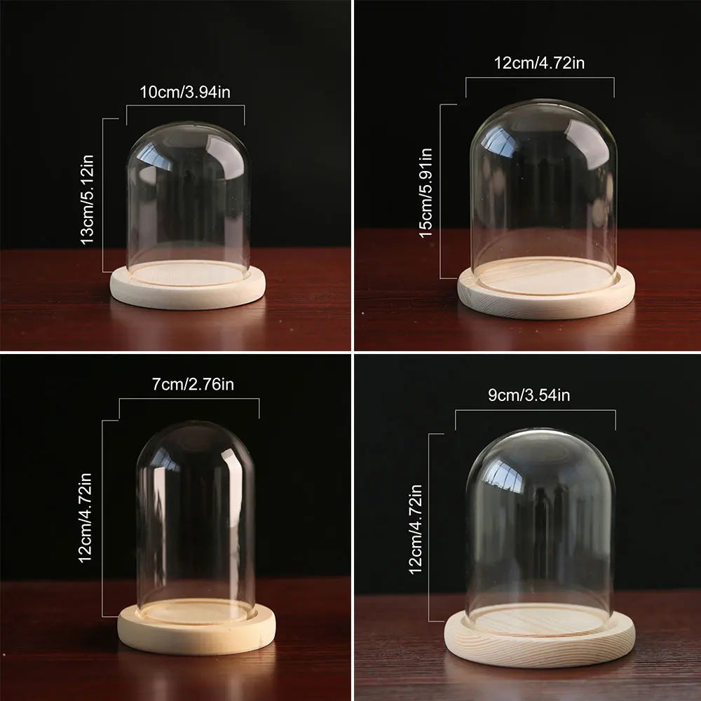 Glass Dome with Wooden Base & LED Light – Terrarium Vase, Flower Holder, Landscape Container for Bedroom Decor & Birthday Gifts