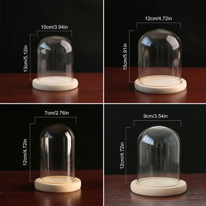 Glass Dome with Wooden Base & LED Light – Terrarium Vase, Flower Holder, Landscape Container for Bedroom Decor & Birthday Gifts