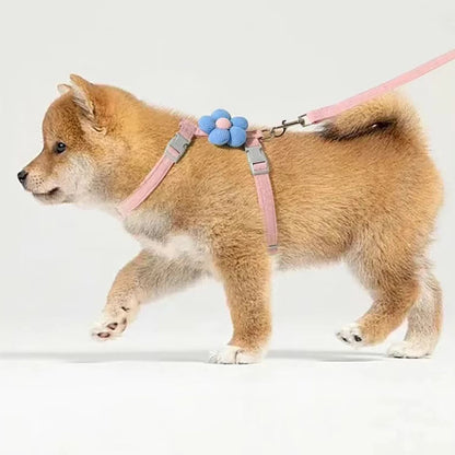 Adjustable Cat & Small Dog Harness with Leash – Breathable Pet Walking Strap Set