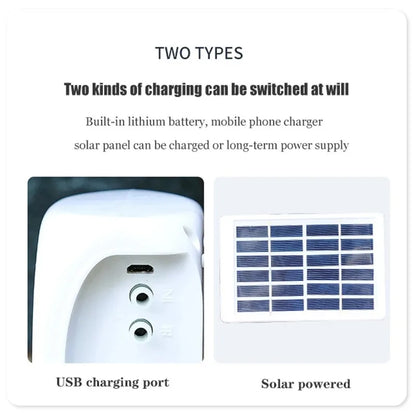 Solar Double Pump Automatic Drip Irrigation System – Smart Watering Timer for Garden & Potted Plants