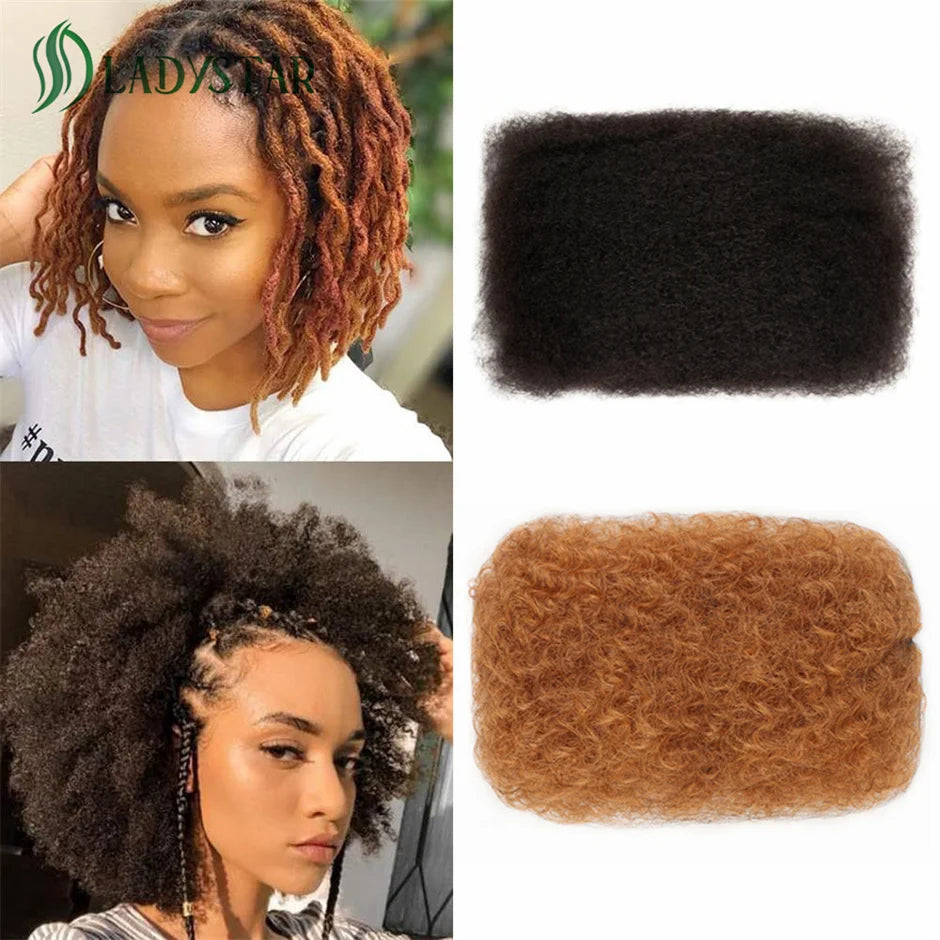 Brazilian Remy Afro Kinky Curly Human Hair for Braiding & Dreadlocks – 30g Natural Color Bulk Hair Extension (No Weft, 1 Bundle)