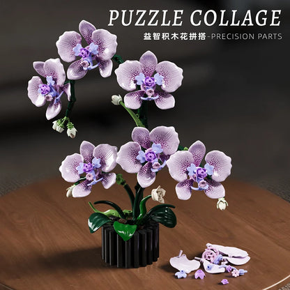 619PCS Phalaenopsis Orchid Building Blocks – Potted Flower Model Toy for Kids & Home Decor