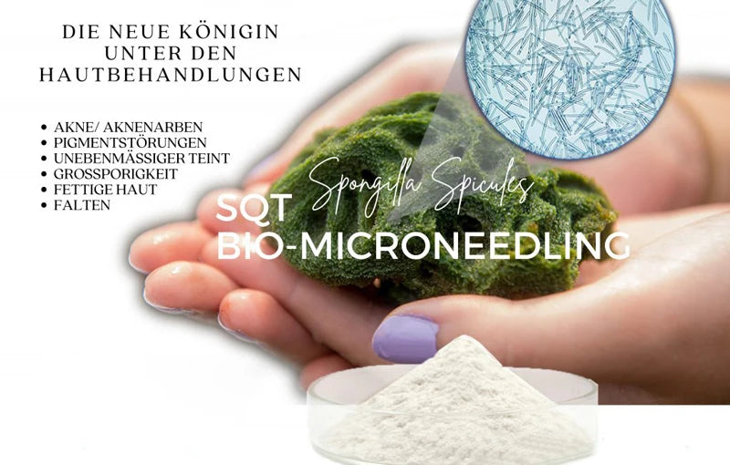 10pcs Sponge Microcrystal Freeze-Dried Powder Collagen Regeneration Sponges – Natural Biological Extract for Skin Cell Renewal