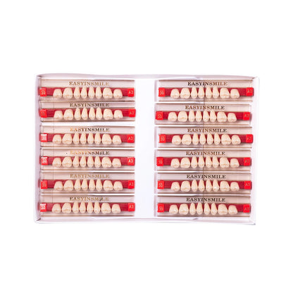 16/12 Set Dental Denture Teeth Model Kit, Upper & Lower Anterior Synthetic Polymer Teeth A2 A3 for Dental Education & Training