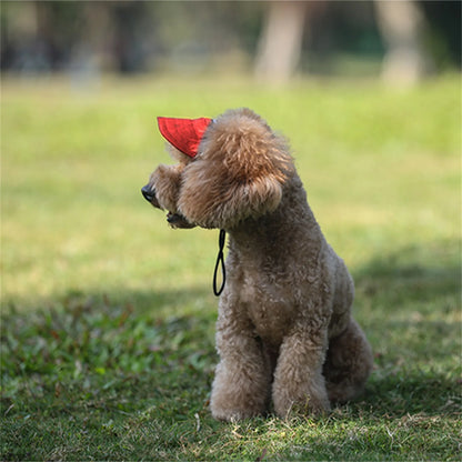 Adjustable Pet Dog Baseball Cap – Cute Travel Sun Visor Hat with Ear Holes | Outdoor Breathable Sport Pet Cap for Dogs