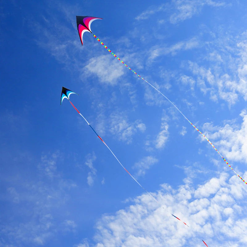 Large Decorative Show Kite - Professional Outdoor Wind Kite with Butterfly Snake Koi Design