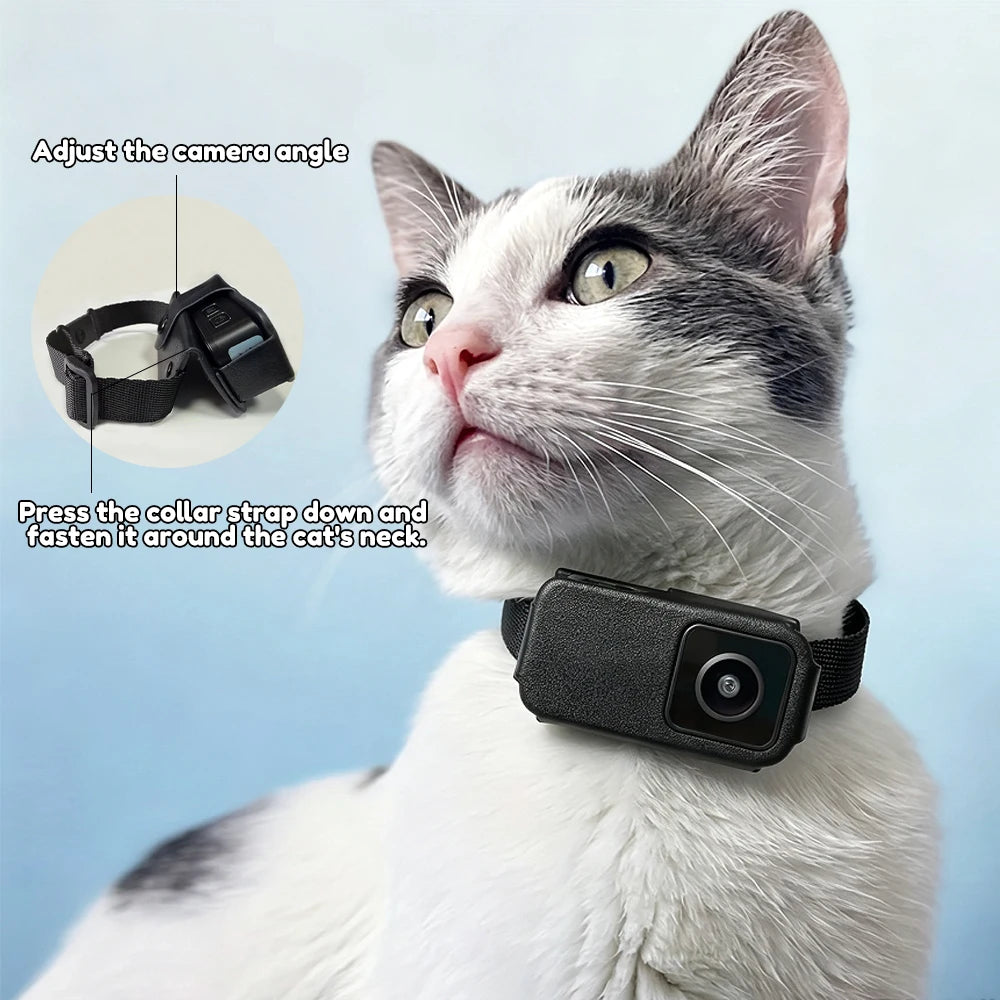 1080P Pet Collar Camera - Wireless Mini Video Recorder for Cats & Dogs, No WiFi Needed