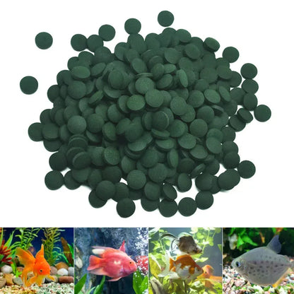 100-3000pc Spirulina Tablets - High Purity Aquarium Fish & Shrimp Food for Crystal Red Shrimp and Tropical Fish