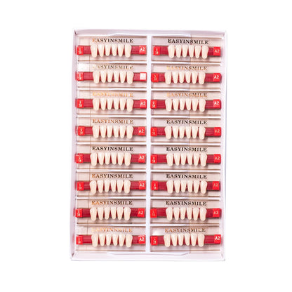 16/12 Set Dental Denture Teeth Model Kit, Upper & Lower Anterior Synthetic Polymer Teeth A2 A3 for Dental Education & Training