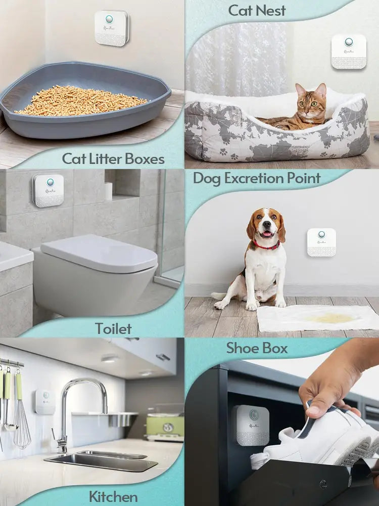 DownyPaws 4000mAh Smart Cat Odor Purifier: Deodorizer for Cat Litter Box & Pet Toilet - Air Purifier for Dog and Cat Litter Deodorant